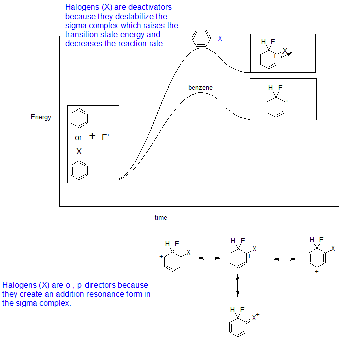 ch 18 sección 6 halógeno resumen diagrams.png