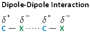 Dipole-Dipole interaction between two carbon-halogens. The partially positive carbon attracts the partially negative halogen of a different molecule. 