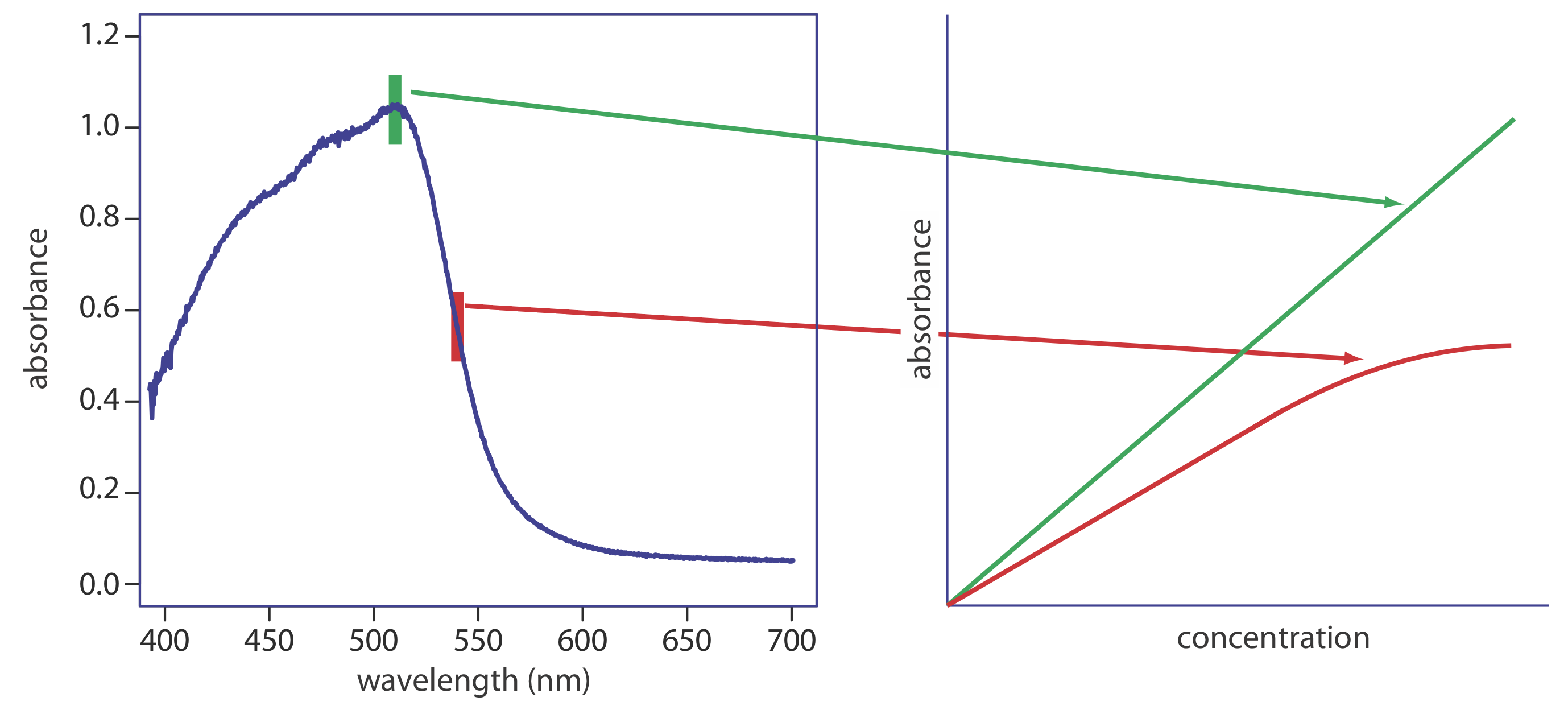 Effect of wavelength selection on the linearity of a Beer’s law plot.