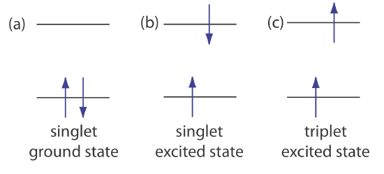 In a singlet ground state, both electrons occupy one orbital. In a singlet excited state, electrons each occupy a different orbital with opposite spin.  In a triplet excited state, electrons each occupy a different orbital with same spin.