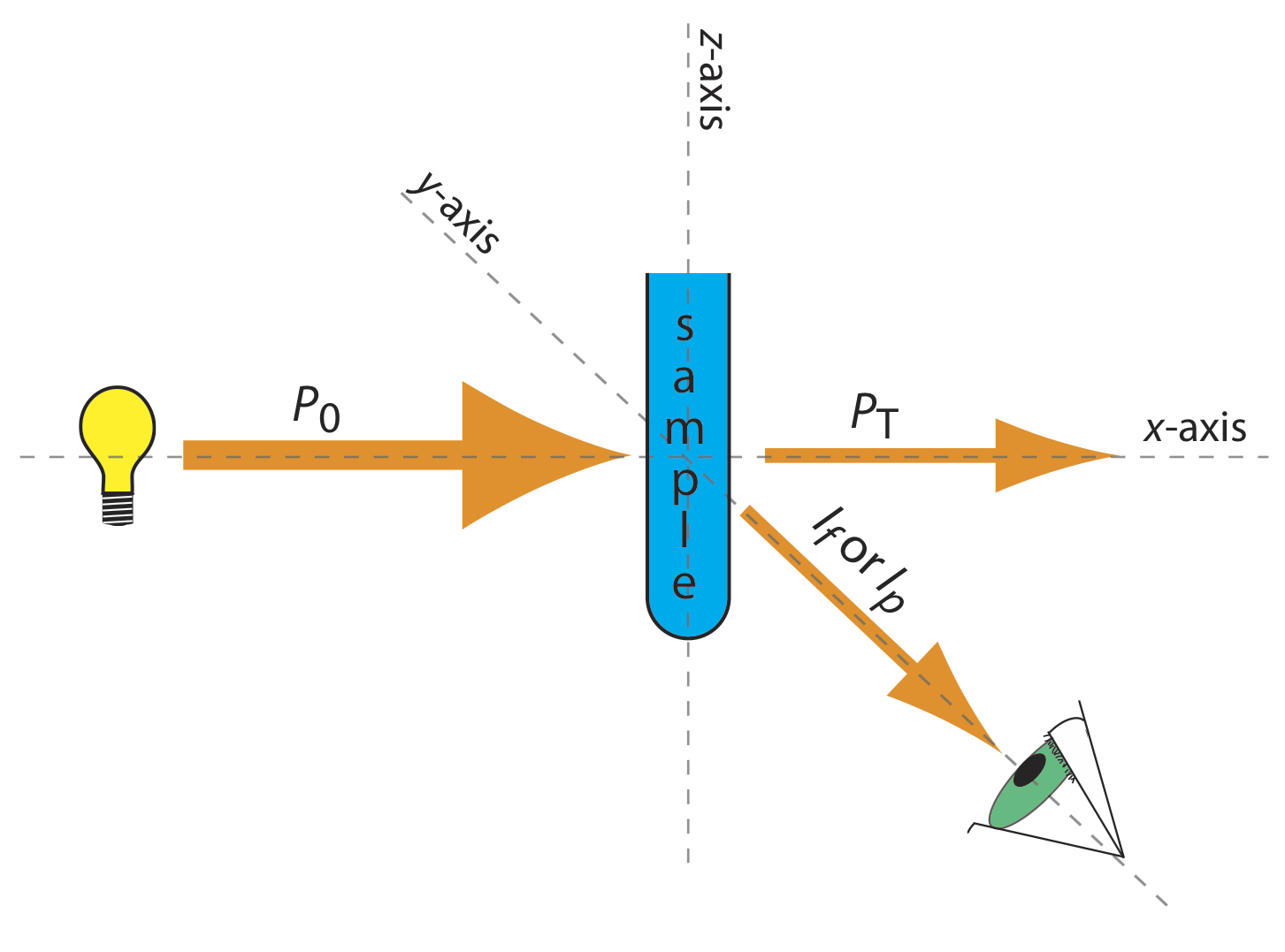 La luz ingresa a la muestra, que está en el eje z, como P (0) a lo largo del eje x. A continuación, la luz se divide en dos direcciones. P (T) se envía a lo largo del eje x e I (f) o I (p) se desplaza a lo largo del eje y.