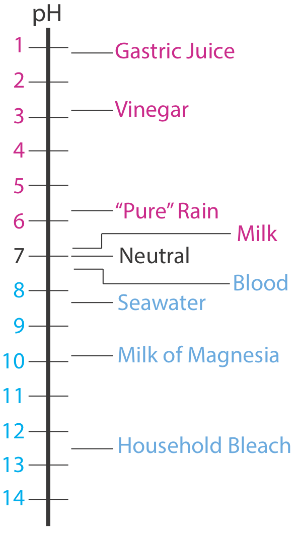 El jugo gástrico tiene un pH de aproximadamente 1; el vinagre es de aproximadamente 3; la lluvia “pura” es de aproximadamente 6; La leche es ligeramente ácida y la sangre es ligeramente básica. El agua de mar tiene un pH de aproximadamente 8; la Leche de Magnesia es de aproximadamente 10 y la lejía doméstica tiene un pH de alrededor de 12.5.