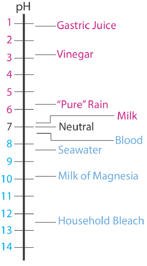 Gastric juice has a pH of about 1; Vinegar is about 3; "Pure" rain is about 6; Milk is slightly acidic and blood is slightly basic. Seawater has a pH of about 8; Milk of Magnesia is about 10 and household bleach has a pH around 12.5. 