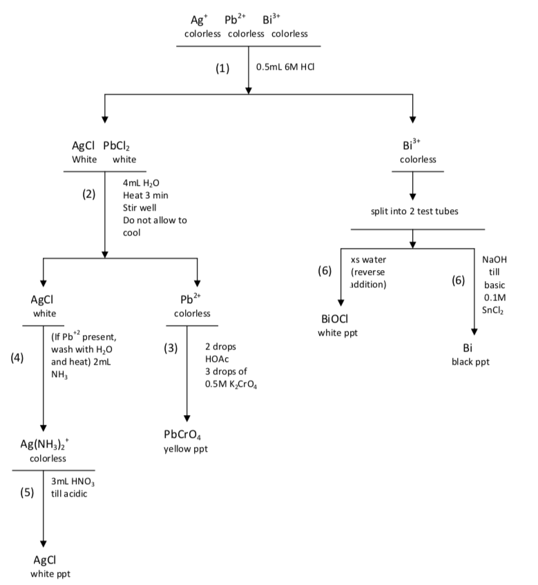The Q-1 Flowchart or Scheme used in lab. 