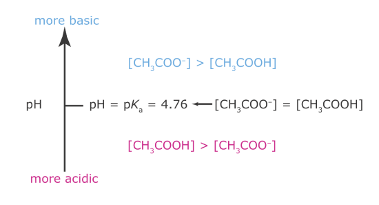 With a pKa of 4.76, Acetic Acid is mostly deprotonated above the pH and is mostly protonated at a pH below that. There are equal concentrations of protonated and deprotonated acetic acid at pH 4.76.
