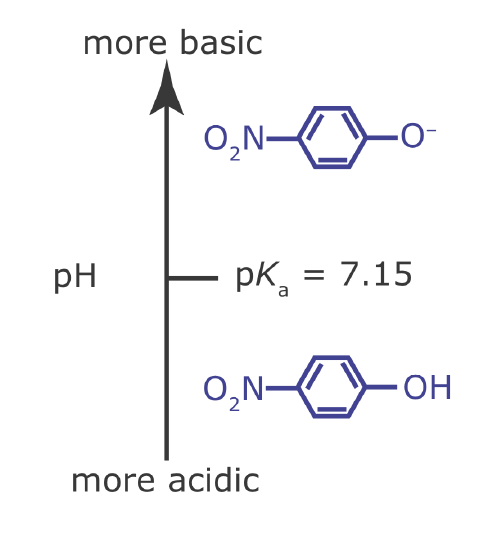 With a pKa of 7.15, p‐nitrophenol is mostly deprotonated above the pH and is mostly protonated at a pH below that. There are equal concentrations of protonated and deprotonated p‐nitrophenol at pH 7.15.