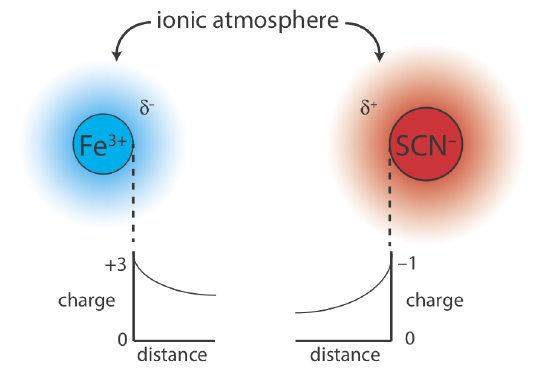The positive charge of iron surrounds it with a slight negative charge. The opposite is also true with SCN-.