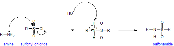 ch 20 sect 6 sulfonamide mechanism.png