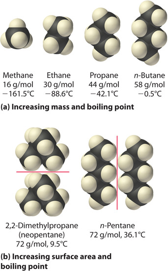 Methane has a mass of 16 gram per mole and a boiling point of negative 161.5 degrees C. Ethane has a mass of 30 grams per mole and a boiling point of negative 88.6 degrees C. Propane has a mass of 44 grams per mole and a boiling point of negative 42.1 degrees C. n-Butane has a mass of 58 grams per mole and a boiling point of negative 0.5 degrees C. 2,2-dimethylpropane (neopentane) has a mass of 72 gram per mole and a boiling point of 9.5 degrees C. n-Pentane has a mass of 72 gram per mole and a boiling point of 36.1 degrees C. 