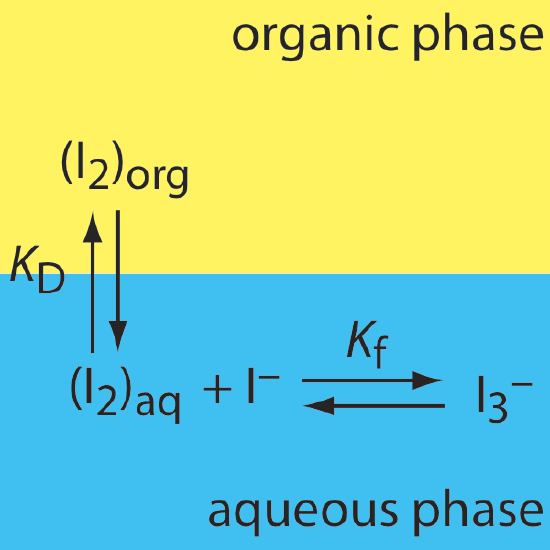 I2 begins in the organic phase and converts to the aqueous phase. In the aqueous phase, it can react with I- to form (I3)-.