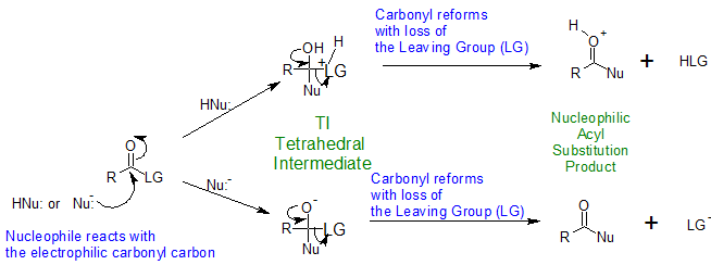 ch 21 sect 5 NAS mechanism annotated.png
