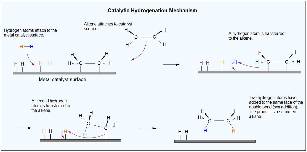 Catalytic hydrogenation mechanism. First hydrogen atoms attach to the metal catlyst surface and alkene attaches to catalyst surface. In the second step a hydrogen atom is transferred to the alkene. In the third step a second hydrogen atom is transferred to the alkene. In the final step two hydrogen atoms have added tot he same face of the double bond. 
