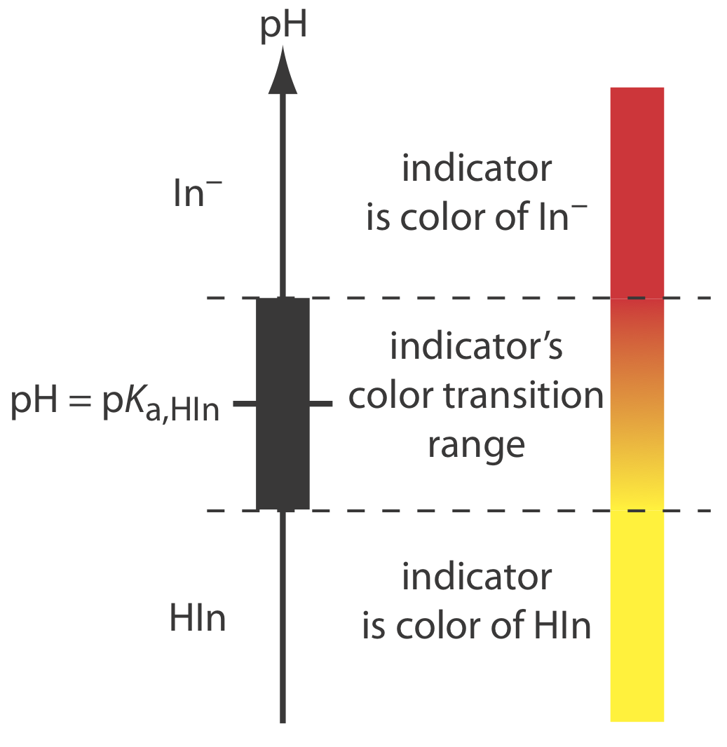 El indicador de pH representado es amarillo cuando el pH está en el rango de Hln, pasa a naranja en el rango de transición de color de los indicadores, y luego desarrolla un color rojo cuando el pH es ln-.