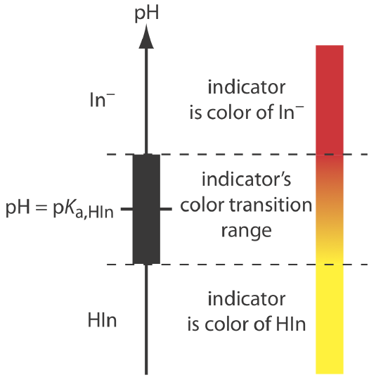 The pH indicator pictured is yellow when pH is in the range of Hln, transitions to orange in the indicators color transition range, and then develops a red color when the pH is ln-.