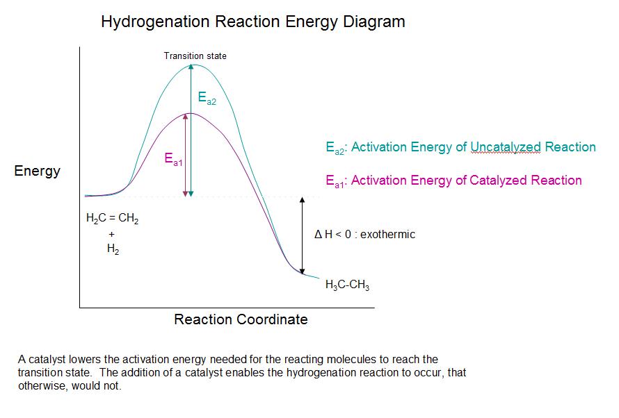 Hydrogenation reaction energy diagram. Two routes are shown: uncatalyzed reaction and catalyzed reaction. A catalyst lowers the activation energy needed for reacting molecules to reach the transition state. The addition of a catalyst enables the hydrogenation reaction to occur that otherwise would not. 