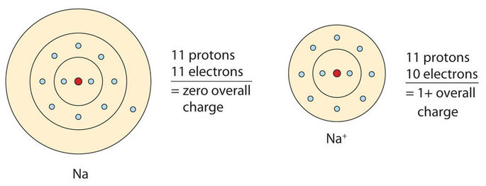 Has 11 protons what What would