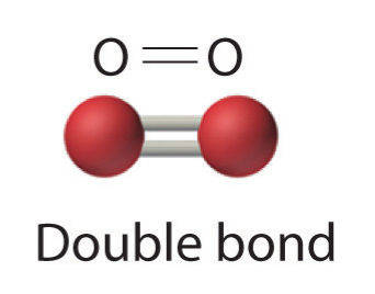 Dos moléculas de oxígeno doblemente unidas entre sí