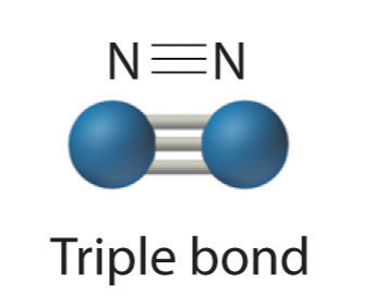 Dos átomos de nitrógeno triple enlace