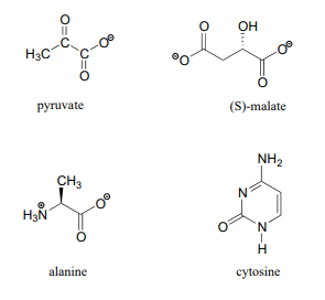 Top left: pyruvate molecule. Top right: (S)-malate molecule. Bottom left: alanine molecule. Bottom right: cytosine molecule.