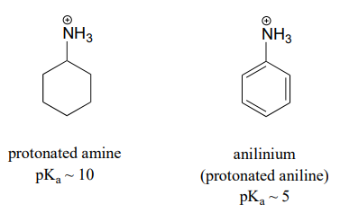 Protonated amine has  a pKa around 10 and anilinium, a protonated aniline, has a pKa around 5. 