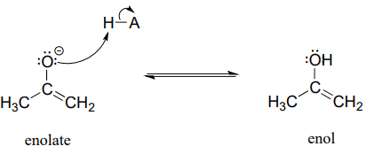 Protonating an enolate from an enol. 