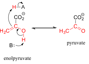 Tautomerization of enolpyruvate into pyruvate. 