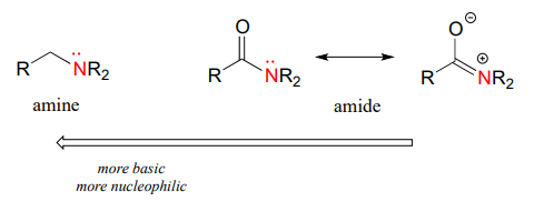 La amina es más básica y más nucleófila en comparación con la amida.