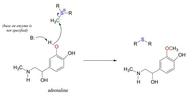 Degradación de adrenalina con una base no especificada en la enzima.
