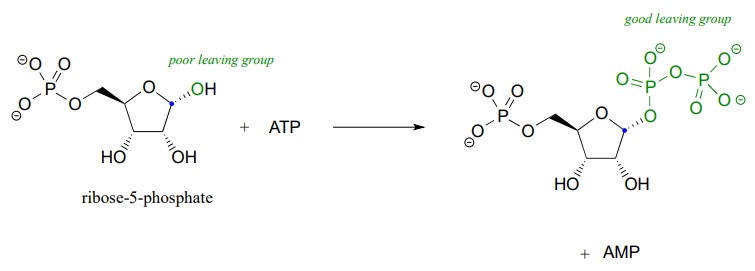 ribose-5-fosfato tiene un grupo saliente pobre. Reacciona con ATP para producir un buen grupo saliente y AMP.