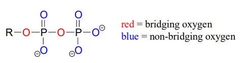 The briding oyxgens are in red and are inside the compound while the non-bridging oxygens are in blue and are on the outside of the compound. 