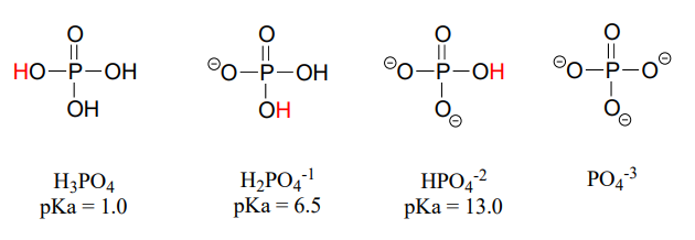 H3PO4 tiene un pKa de 1. H2PO4 menos tiene un pKa de 6.5, HPO4 dos menos tuvo un pKa de 13.