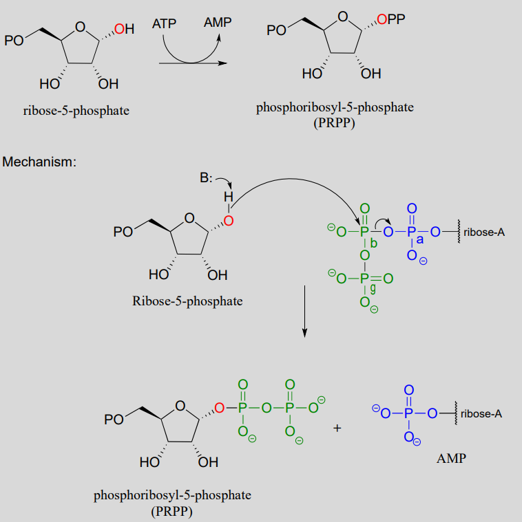 Mechanism for ribose-5-phosphate reacting with ATP to produce AMP and phoshporibosyl-5-phosphate (PRPP)