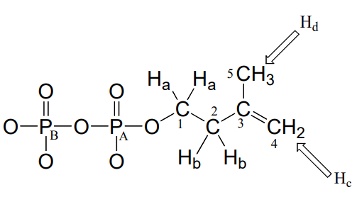 Dibujo de líneas de unión de difosfato de isopentenilo. Los carbonos están etiquetados 1-5 de izquierda a derecha.