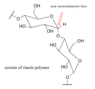 Sección de polímero de almidón.
