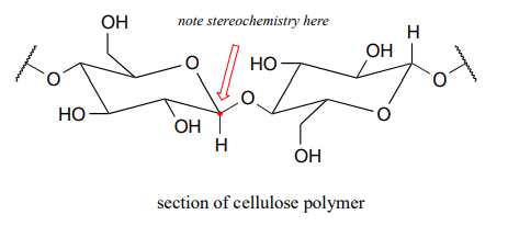 Section of cellulose polymer. 