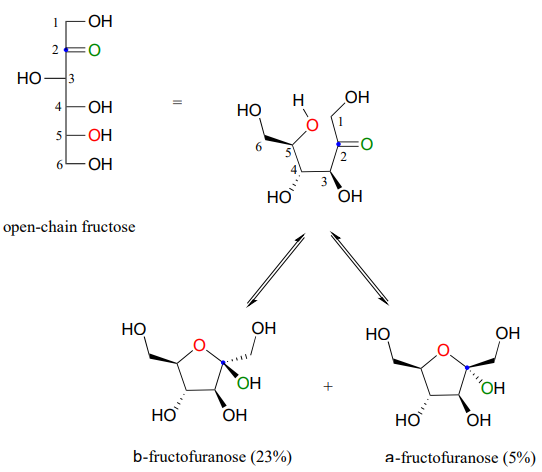 b-fructofuranose exists at 23% at equilibrium and a-fructofuranose exists at 5% at equilibrium. 