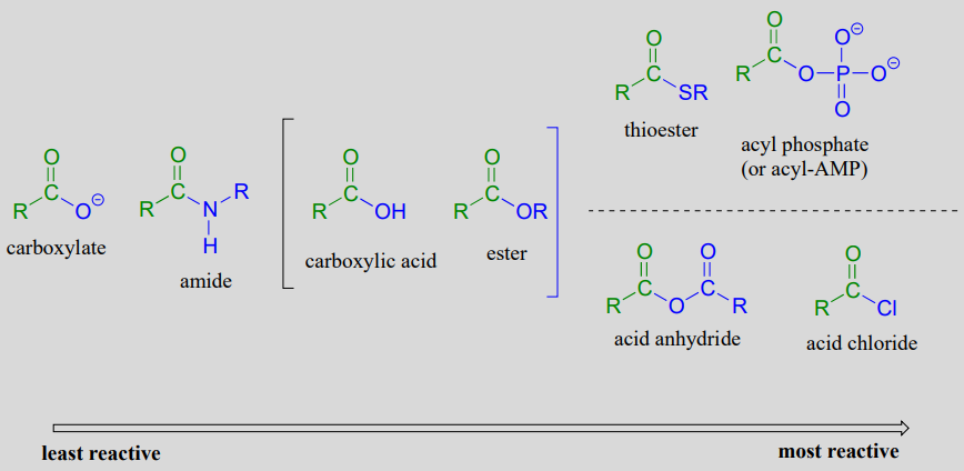 De menor reacción a más reactivo el orden es: carboxilato, luego amida, ácido carboxílico es lo mismo que éster, luego tioéster, acil-AMP, anhídrido de ácido y cloruro de ácido son todos los más reactivos.