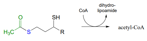 El piruvato reacciona con CoA para producir dihidrolipoamida y acetil-CoA.
