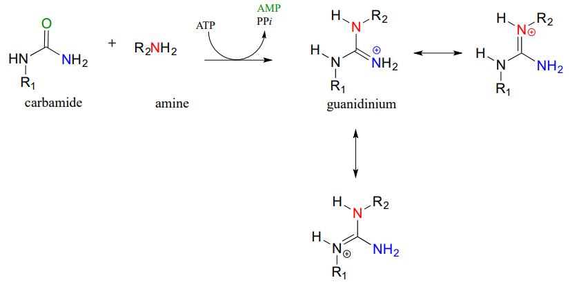 Carbamide reacts with amine and ATP to produce AMP, PPi and guanidinium. 