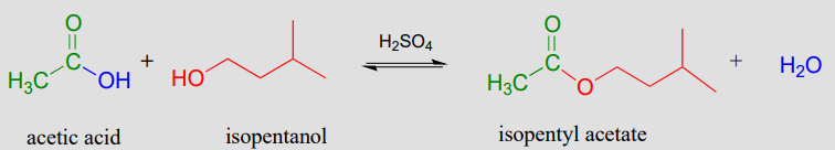 Acetic acid reacts with isopentanol and sulfuric acid to produce isopentyl acetate and water. 