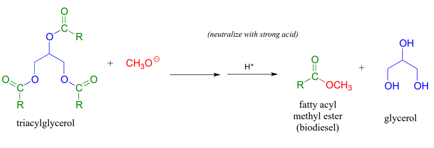 El triacilglicerol reacciona con CH3O menos y se neutraliza con ácido fuerte para producir glicerol y éster metílico de acilo graso (biodiesel)