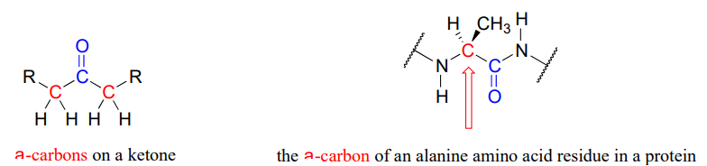 Alpha carbons are highlighted in red on a ketone. Alpha carbon of an alanine amino acid residue in a protein is highlighted in red. 
