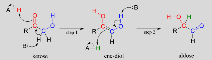 The ketose first becomes an ene-diol which then forms the aldose. 