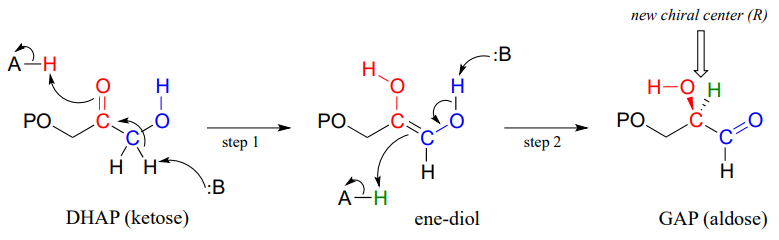 DHAP (una cetosa) se convierte en un eno-diol que se convierte en GAP (una aldosa).
