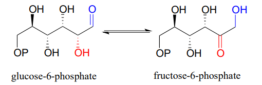 La glucosa-6-fosfato se convierte en fructosa-6-fosfato y viceversa.