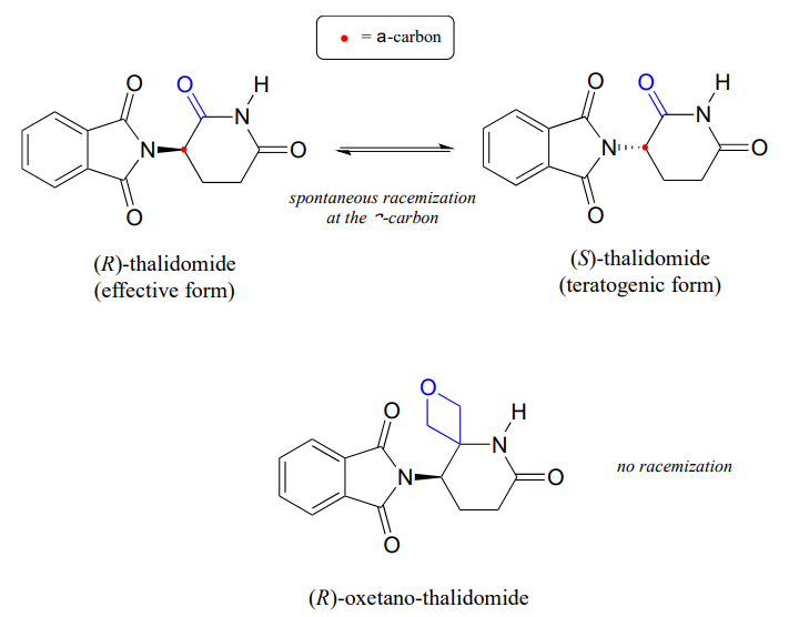 (R)-thalidomide (effective form) undergoes spontaneous racemization at the alpha carbon to form (s)-thalidomide (teratogenic form). (R)-oxetano-thalidomide does not have racemization. 
