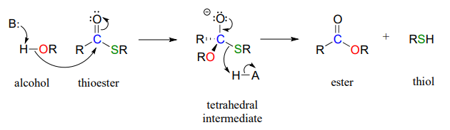 An alcohol reacts with a thioester to first create a tetrahedral intermediate. After the intermediate is formed an ester and thiol are formed. 