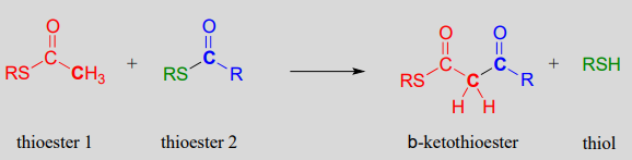 Two thioesters react to form a b-ketothioester and a thiol. 