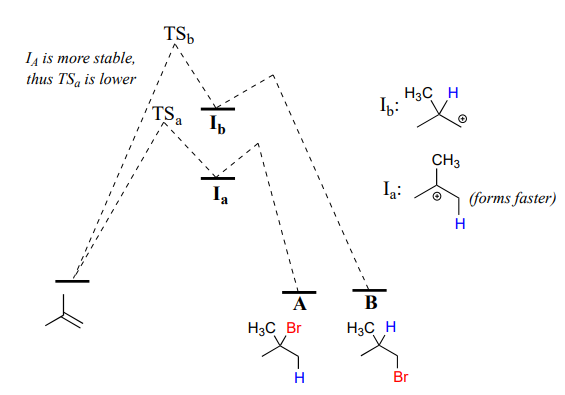 I A: Carbocation on carbon 2 (forms faster). I B: Carbocation on carbon 2. Dashed lines go from 2-methylpropene to TSA and TSB (TSB higher than A). Text: I A is more stable, thus TSA is lower. Dashed lines go down to I B and I A, up to one more peak and down to molecules A and B.