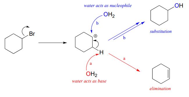 Cyclohexane with bromine. BR group leaves to form cation. Two options. A: Water acts as base and attacks a hydrogen forming a double bond in an elimination reaction. B: Water acts as a nucleophile and attacks the carbocation adding an OH group to the ring in a substitution reaction.
